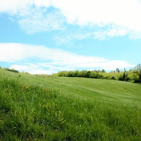 Alloggio per agriturismo Agriturismo Il Podere Branca