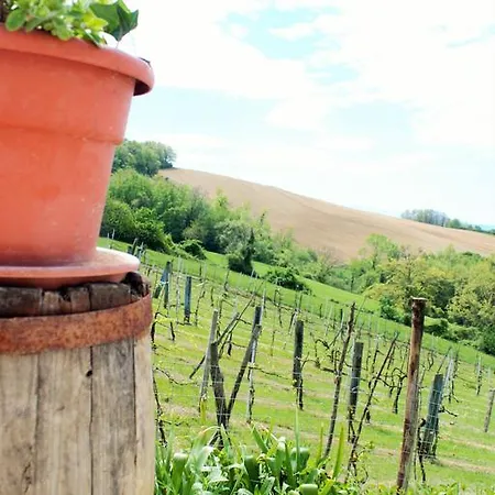 Farm stay Agriturismo Il Podere