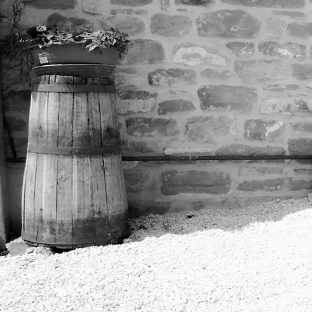 Agriturismo Il Podere