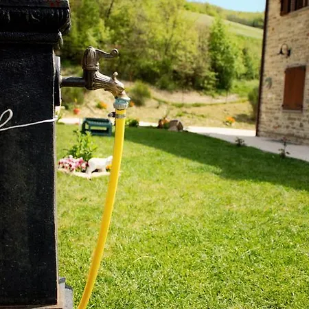 Farm stay Agriturismo Il Podere *