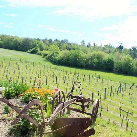 Alloggio per agriturismo Agriturismo Il Podere *