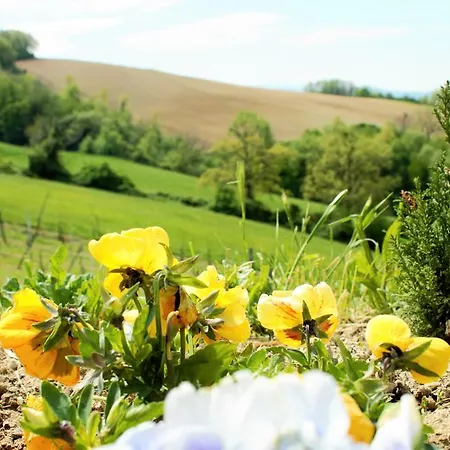 Alloggio per agriturismo Agriturismo Il Podere Branca
